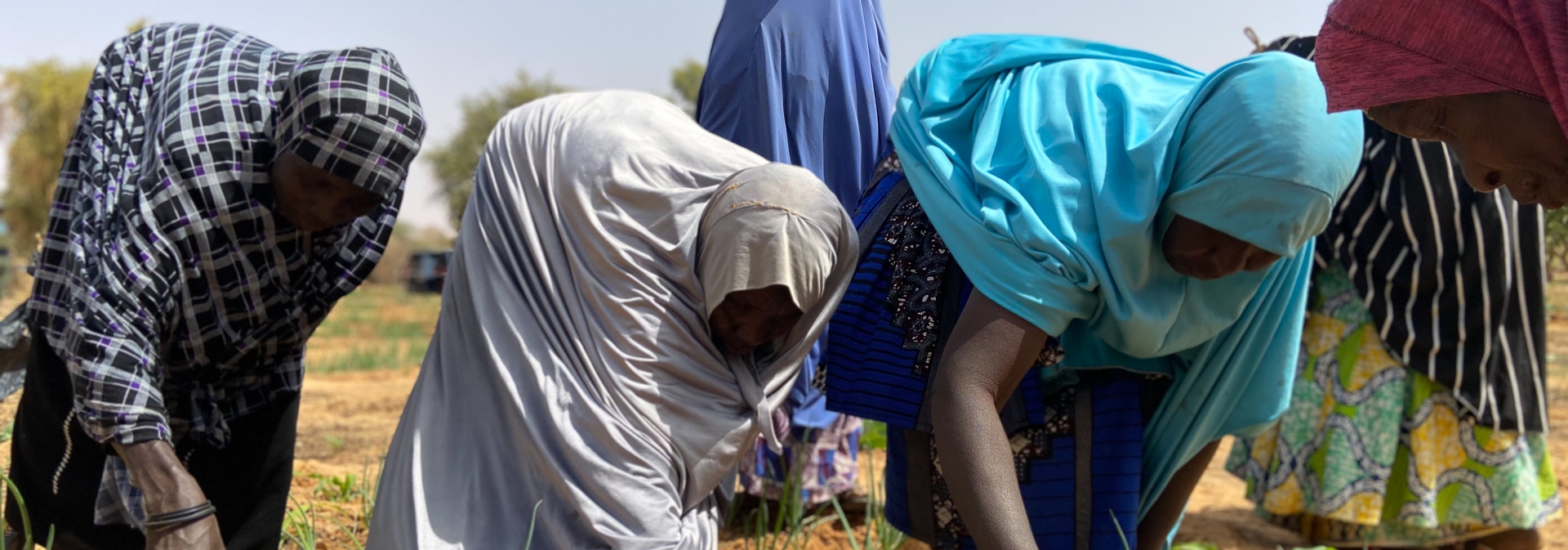 IOM Niger supporting women-led agricultural opportunities in Ouallam, Niger. Safa Msehli, 2022.