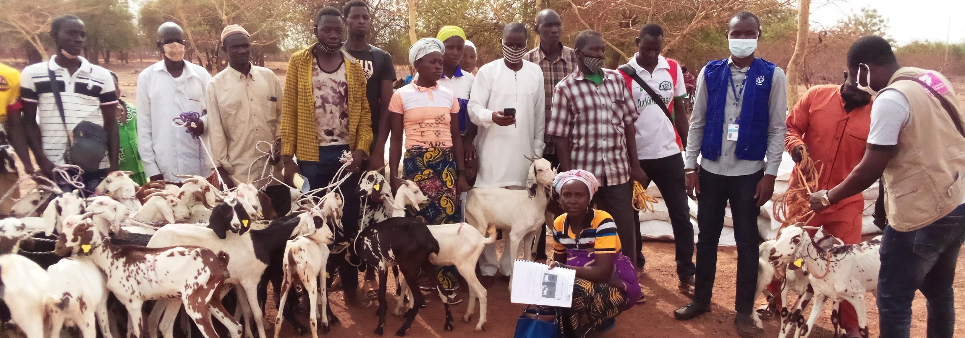 IOM's support in Ouahigouya for a livestock project. © IOM 2022