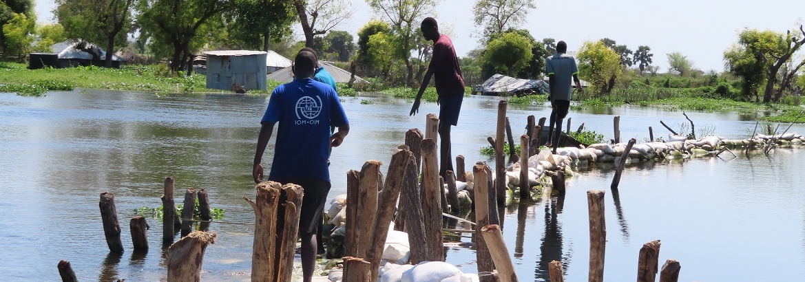With support from IOM, local youth in Bor participate in building broken dikes to prevent their villages from flooding (© Alier Mose / IOM 2021).